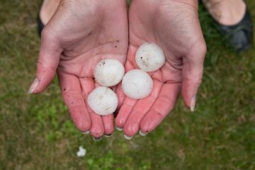 Hail damage in Dulles